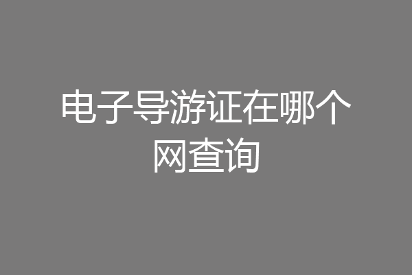 电子导游证在哪个网查询