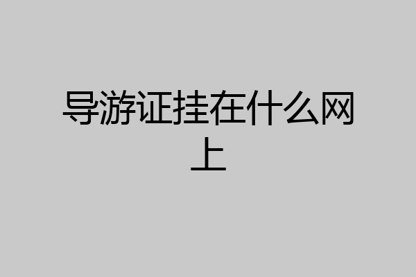 导游证挂在什么网上