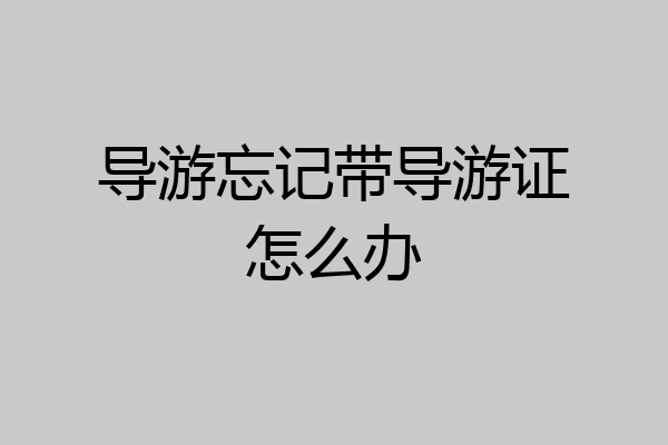 导游忘记带导游证怎么办