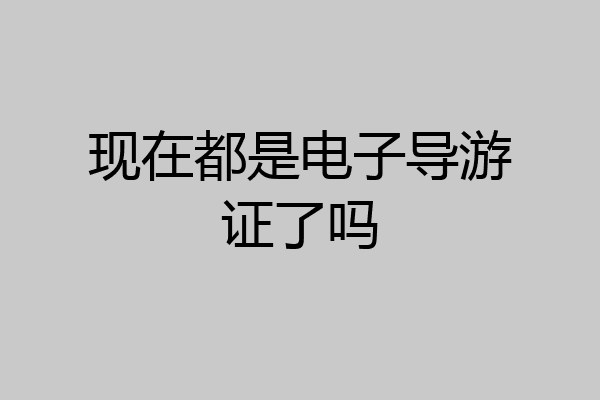 现在都是电子导游证了吗