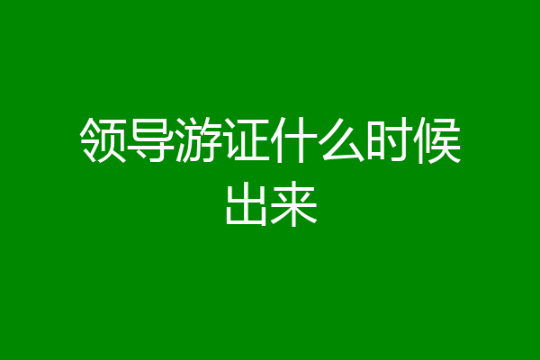领导游证什么时候出来