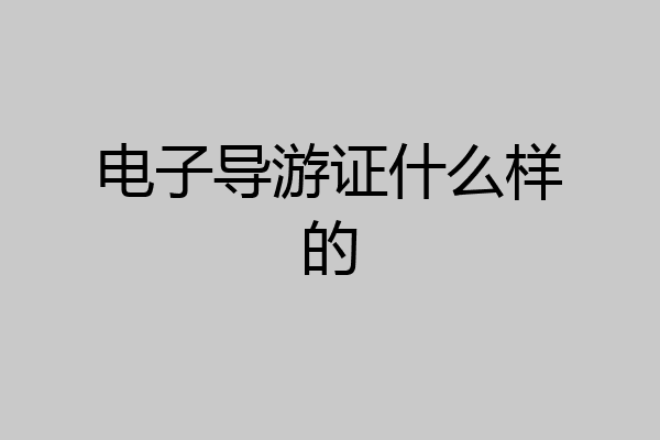 电子导游证什么样的
