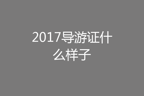 2017导游证什么样子