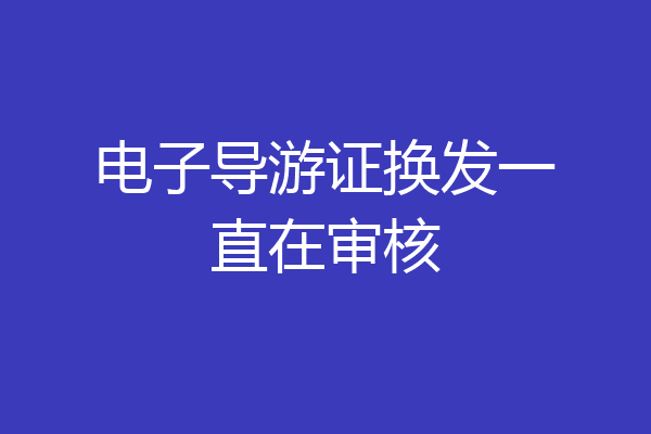 电子导游证换发一直在审核