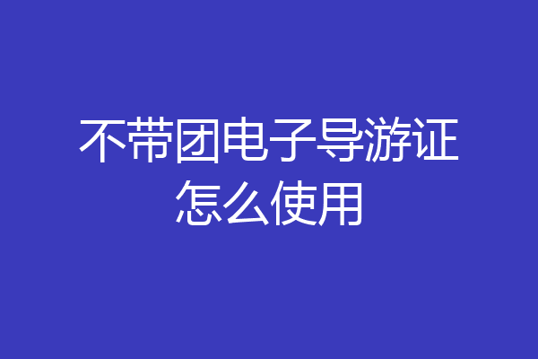 不带团电子导游证怎么使用