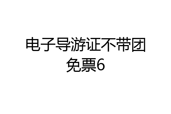 电子导游证不带团免票6