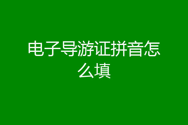 电子导游证拼音怎么填