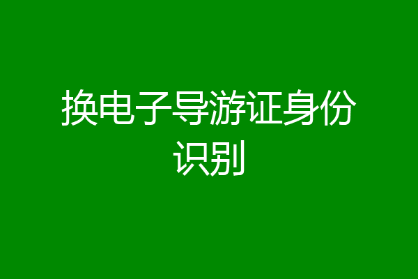 换电子导游证身份识别