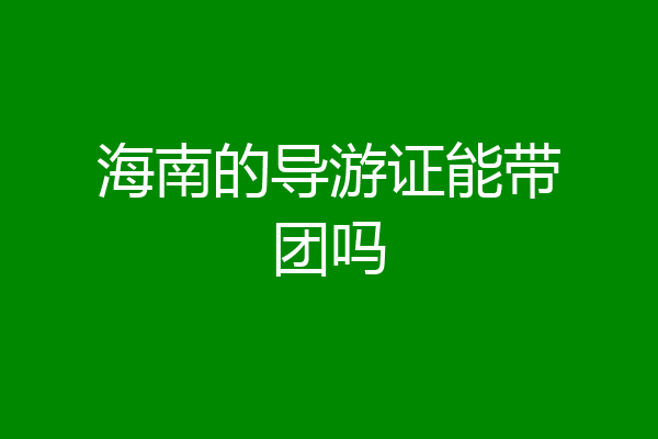 海南的导游证能带团吗