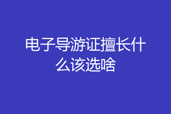 电子导游证擅长什么该选啥