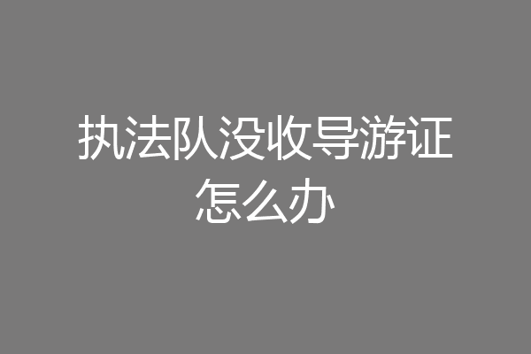 执法队没收导游证怎么办