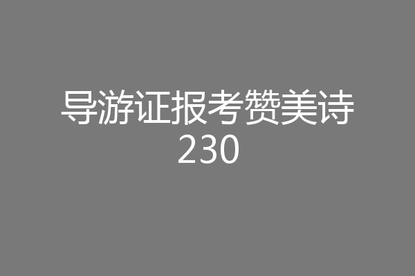 导游证报考赞美诗230
