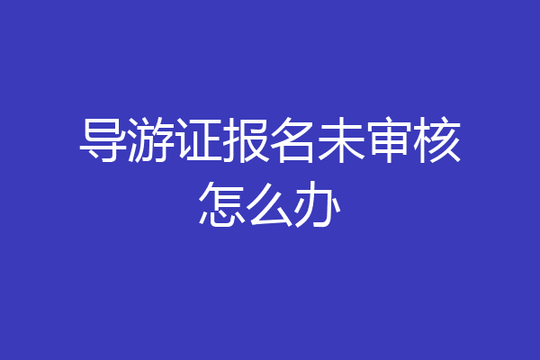 导游证报名未审核怎么办