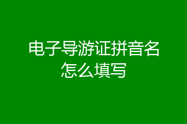 电子导游证拼音名怎么填写