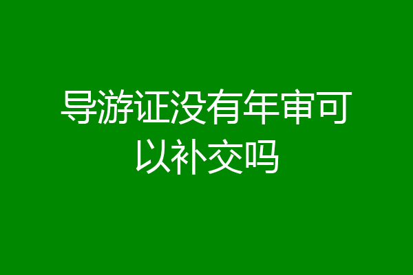 导游证没有年审可以补交吗