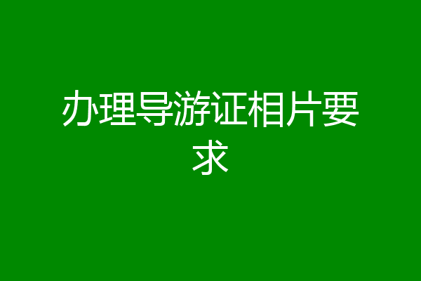 办理导游证相片要求