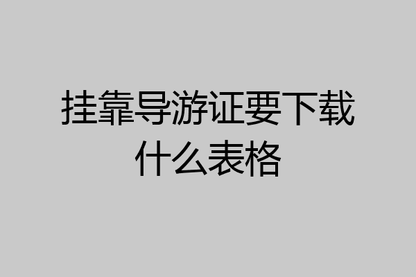 挂靠导游证要下载什么表格