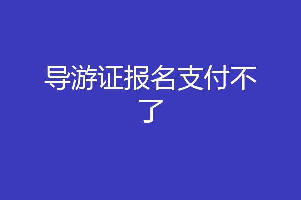 导游证报名支付不了