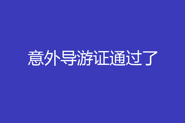 意外导游证通过了