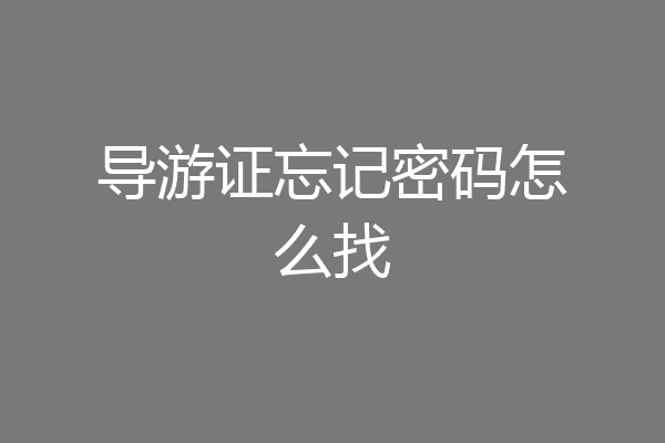 导游证忘记密码怎么找