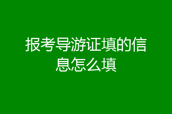 报考导游证填的信息怎么填