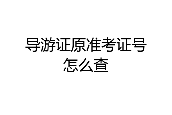 导游证原准考证号怎么查