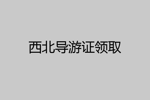 西北导游证领取