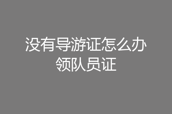 没有导游证怎么办领队员证