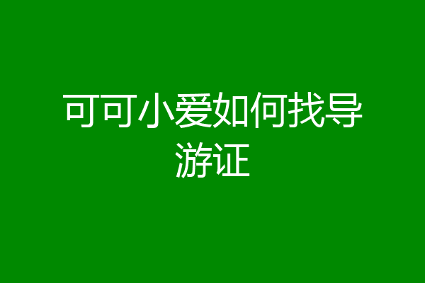 可可小爱如何找导游证