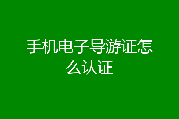 手机电子导游证怎么认证