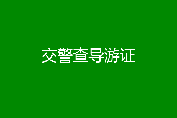 交警查导游证