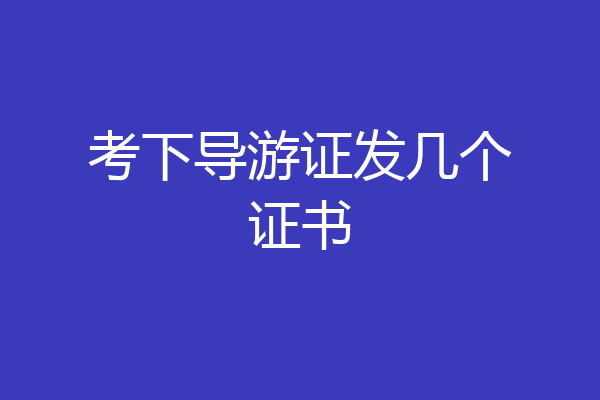 考下导游证发几个证书