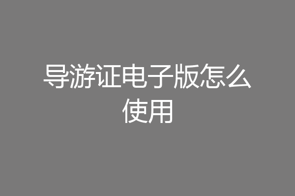 导游证电子版怎么使用