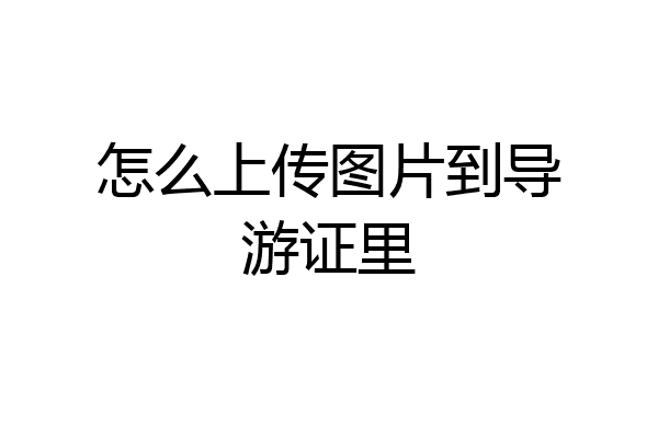 怎么上传图片到导游证里