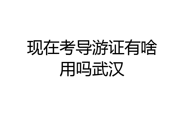 现在考导游证有啥用吗武汉