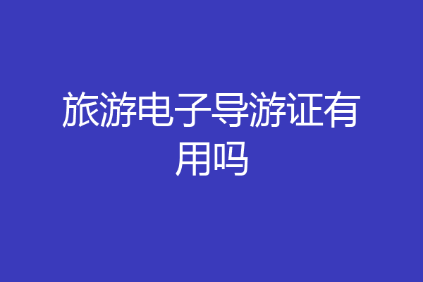 旅游电子导游证有用吗