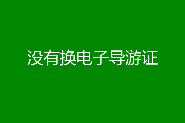 没有换电子导游证