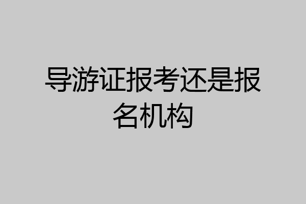 导游证报考还是报名机构