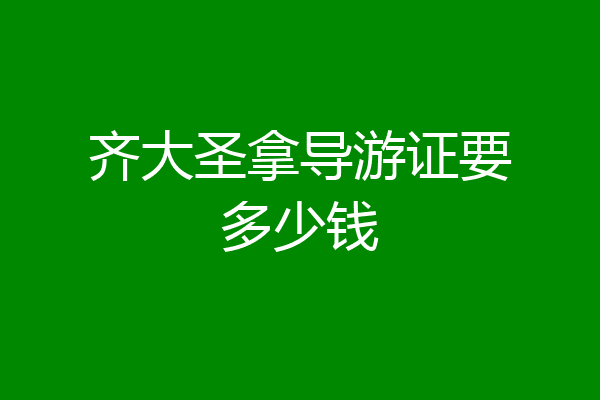 齐大圣拿导游证要多少钱
