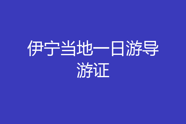 伊宁当地一日游导游证