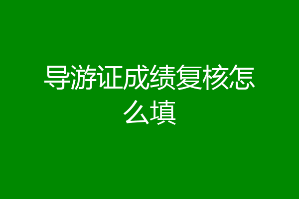 导游证成绩复核怎么填