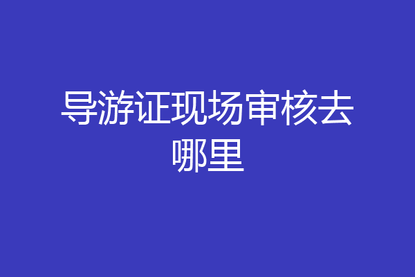 导游证现场审核去哪里