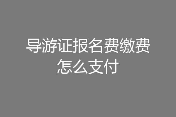 导游证报名费缴费怎么支付