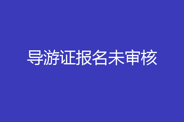导游证报名未审核