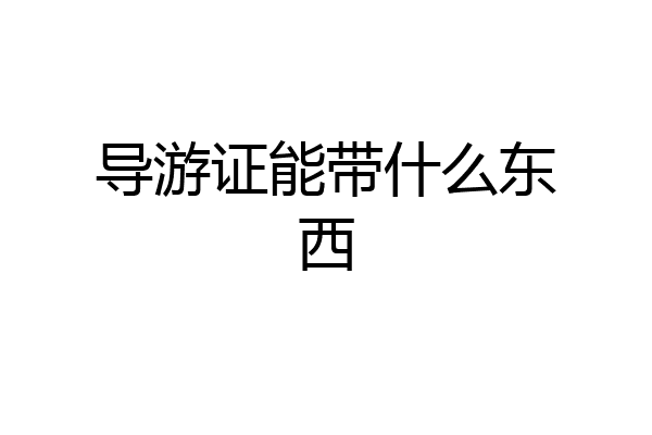 导游证能带什么东西