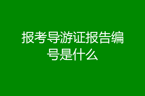 报考导游证报告编号是什么