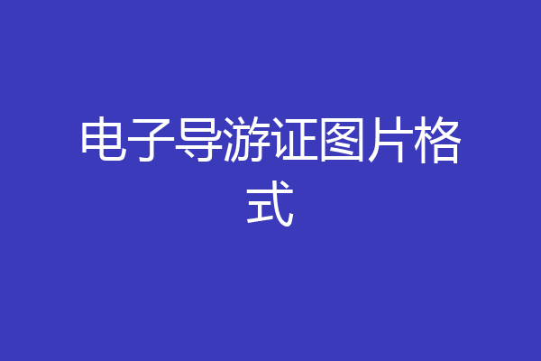 电子导游证图片格式