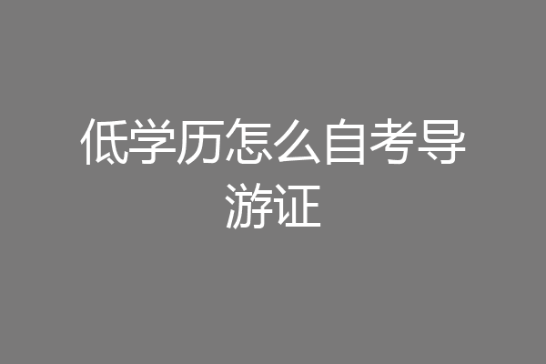 低学历怎么自考导游证