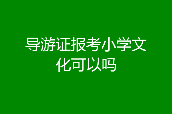 导游证报考小学文化可以吗
