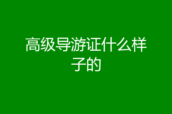 高级导游证什么样子的